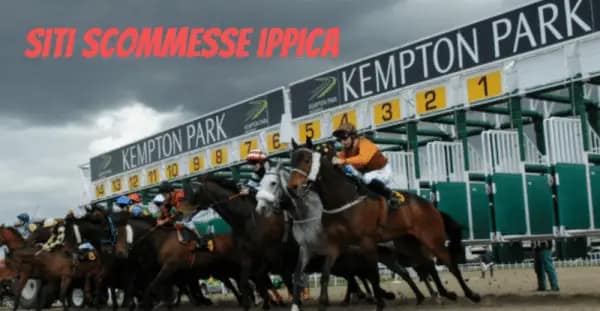 SITI SCOMMESSE IPPICA SITI SCOMMESSE IPPICA